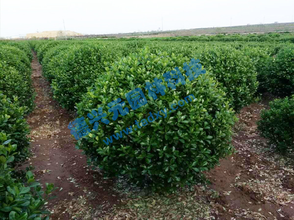 c鿴ԔϢ}~S xΔ(sh)2409