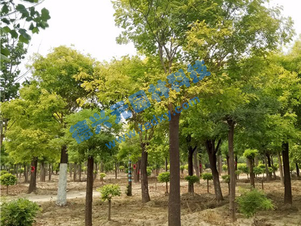 c鿴Ԕ(x)Ϣ(bio)}~ xΔ(sh)2205