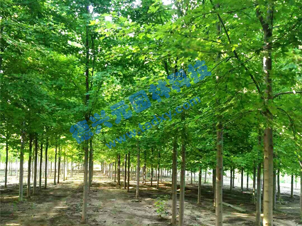 c鿴Ԕ(x)Ϣ(bio)}t xΔ(sh)1934