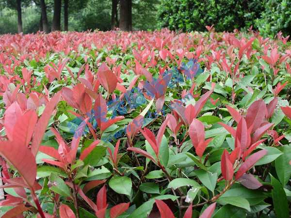 c鿴ԔϢ}t~ʯ xΔ(sh)2328