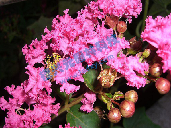 c鿴Ԕ(x)Ϣ(bio)}ޱ xΔ(sh)1738